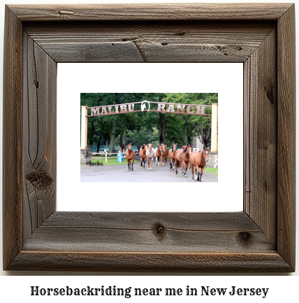 horseback riding New Jersey